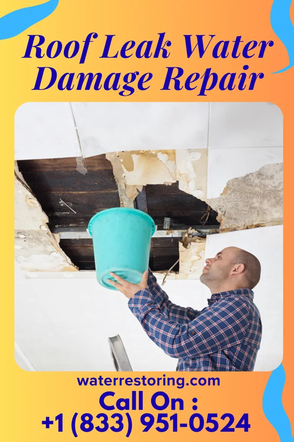 Roof Leak Water Damage Repair in Atlanta, LA